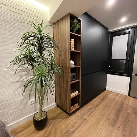 C&g Atico Centrico Con Terraza Daire