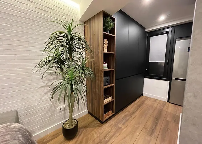 C&g Atico Centrico Con Terraza Daire